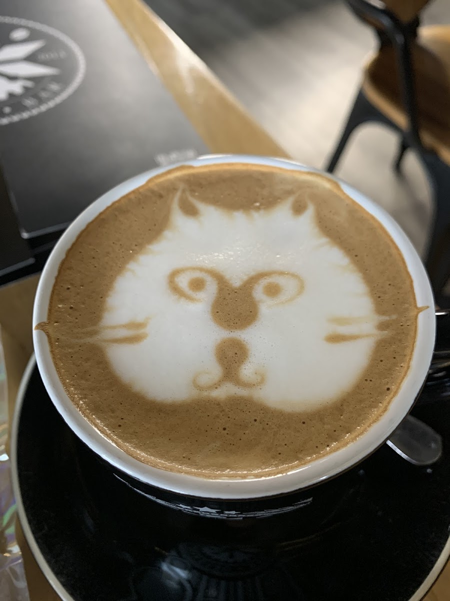 Shift Espresso Bar | Kloof Street Photos 2